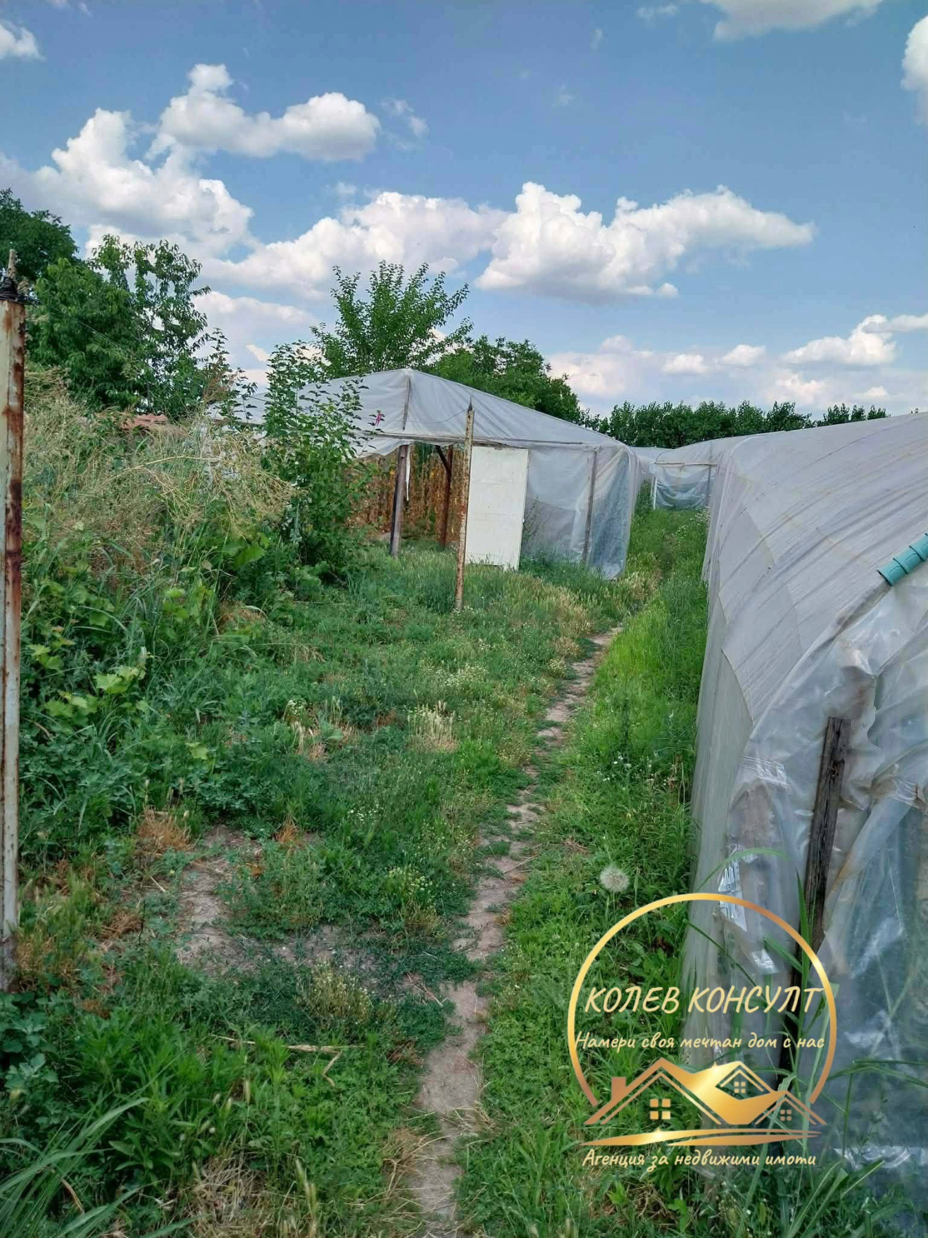 ������� ���� | Imot.bg � ����������� 16