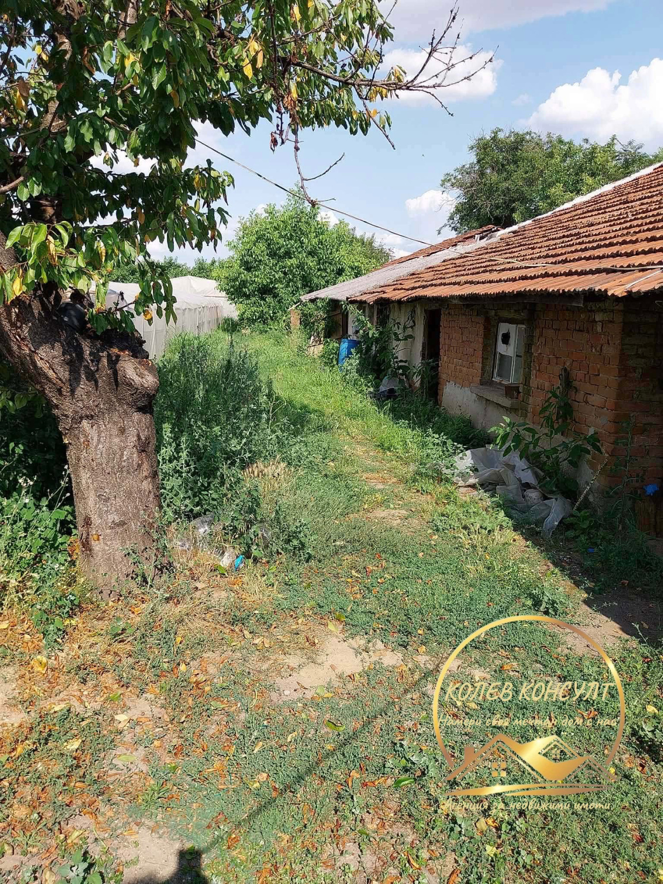 ������� ���� | Imot.bg � ����������� 12