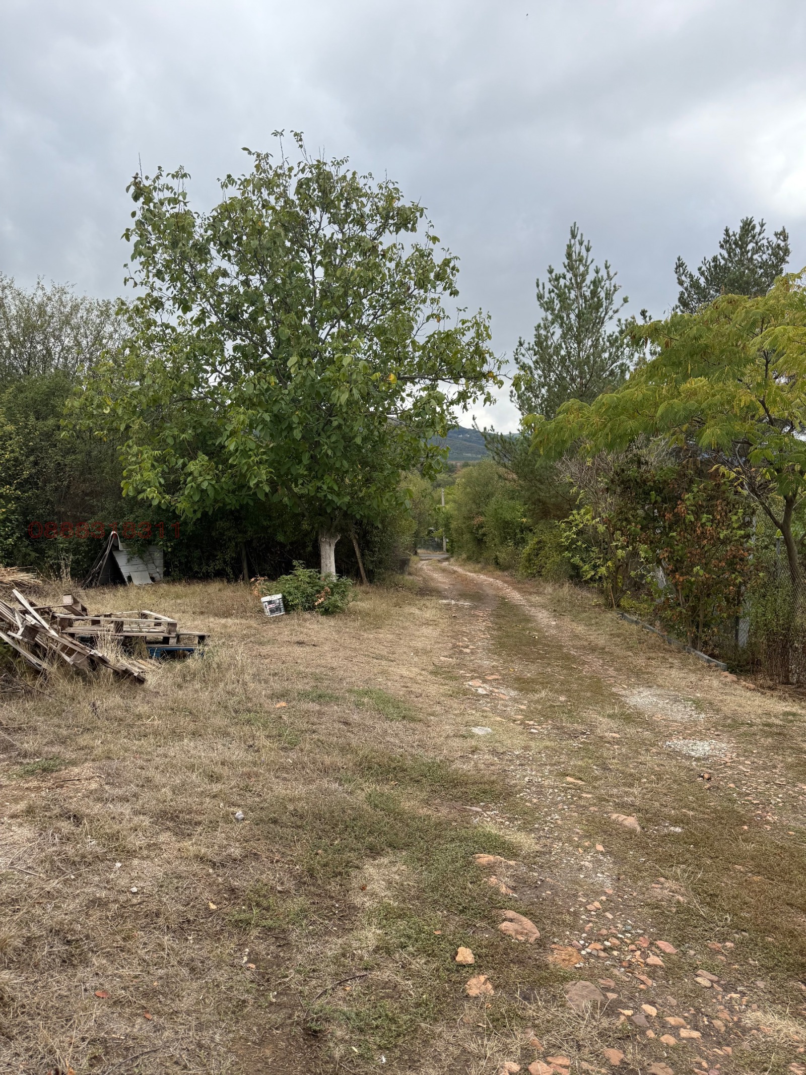 ������� ������ | Imot.bg � ����������� 5