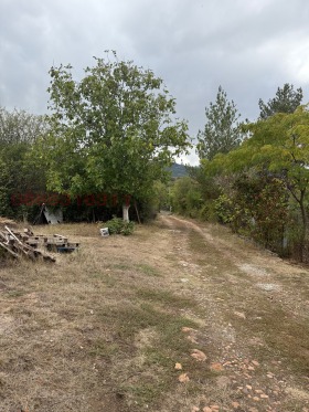 ������� ������ | Imot.bg � ����� ������ 5