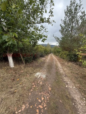 ������� ������ | Imot.bg � ����� ������ 3