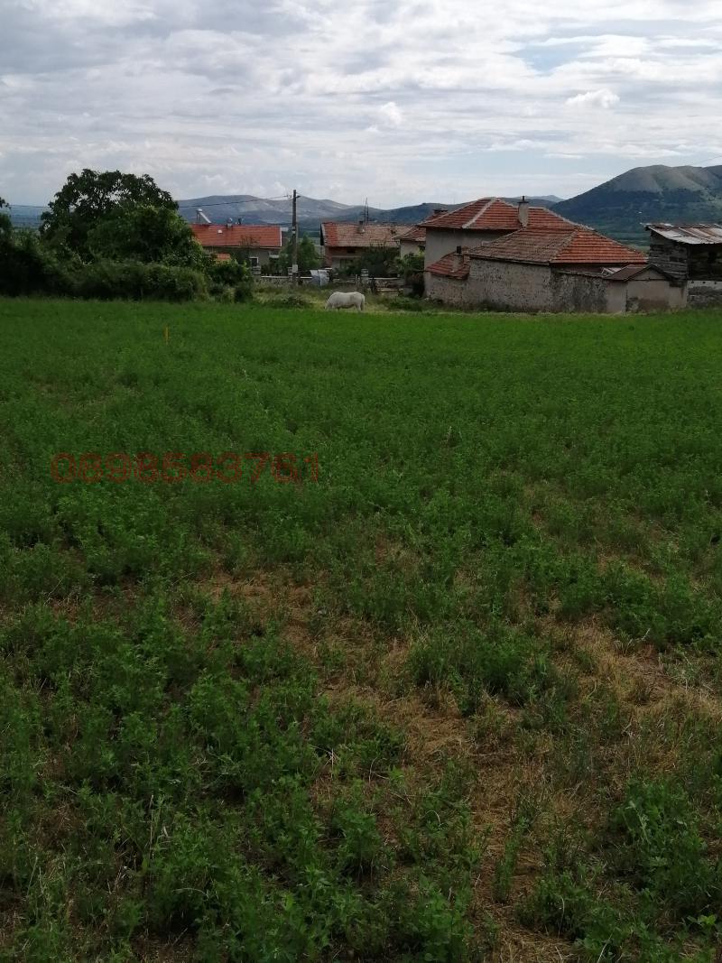 Продава ПАРЦЕЛ, с. Црънча, област Пазарджик, снимка 3 - Парцели - 52786280