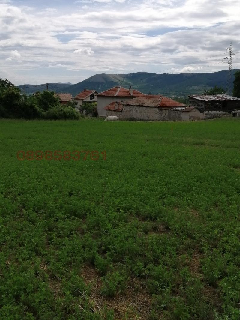 Продава ПАРЦЕЛ, с. Црънча, област Пазарджик, снимка 4 - Парцели - 52786280