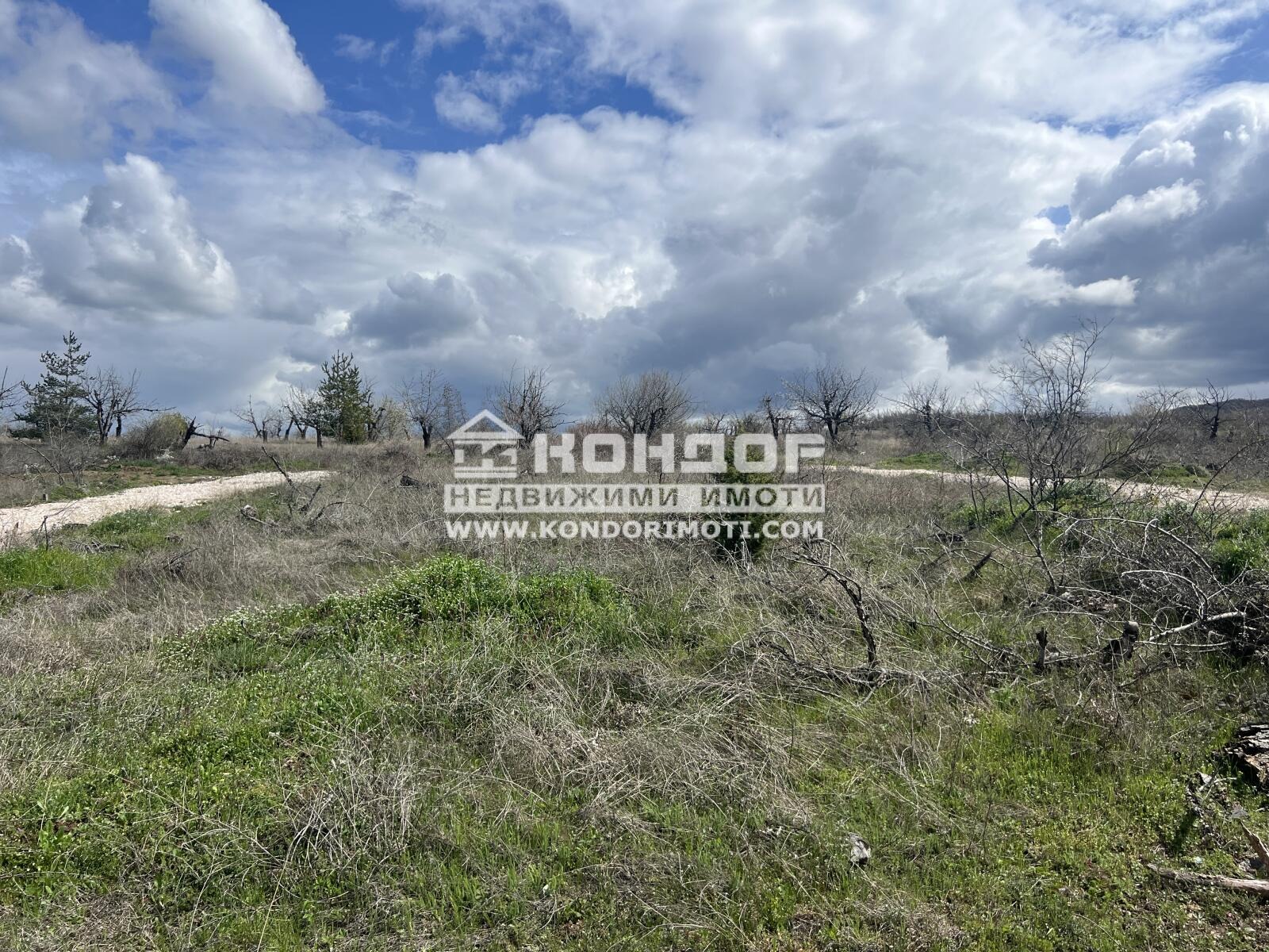 Продава ПАРЦЕЛ, с. Марково, област Пловдив, снимка 2 - Парцели - 53411194