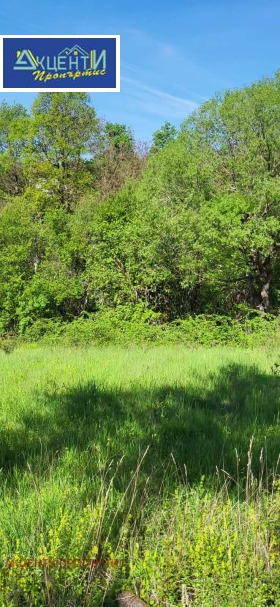 Cselekmény Mijkovci, régió Veliko Tarnovo 6