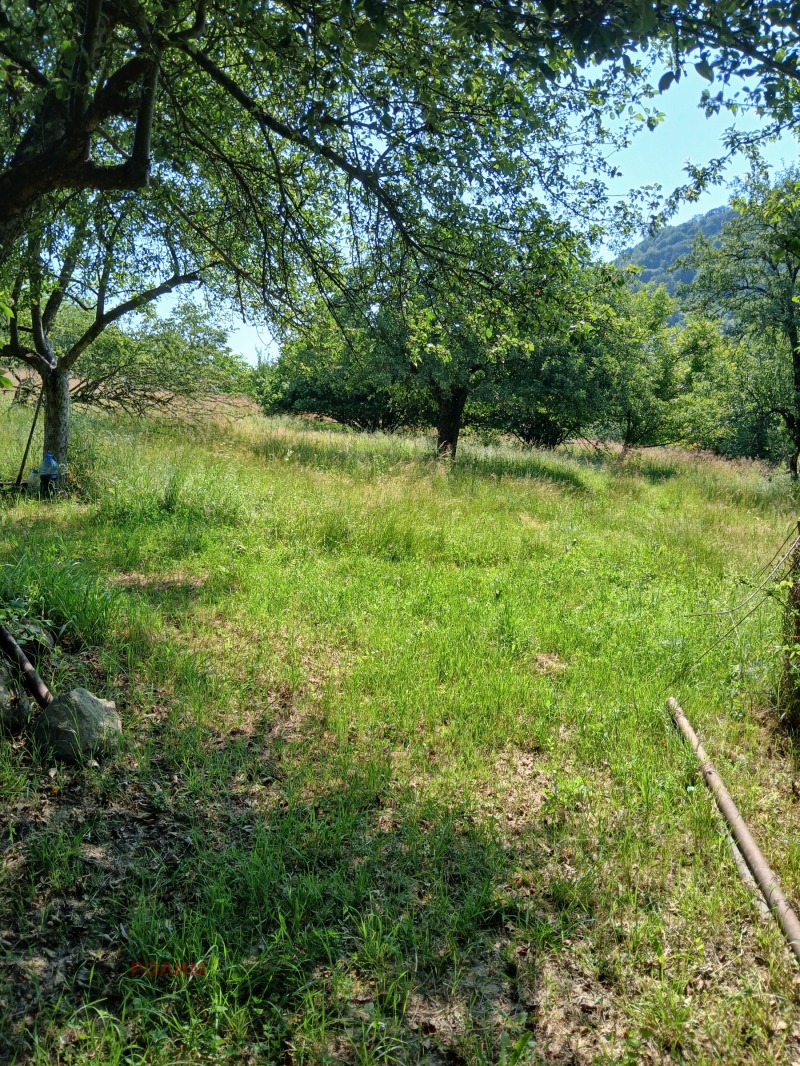 Продава  Къща област Габрово , с. Селище , 239 кв.м | 13075807 - изображение [15]
