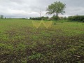 Продава ПАРЦЕЛ, с. Храброво, област Добрич, снимка 1