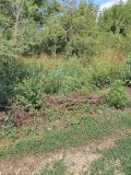 Продава ПАРЦЕЛ, с. Церова кория, област Велико Търново, снимка 6