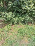 Продава ПАРЦЕЛ, с. Церова кория, област Велико Търново, снимка 7