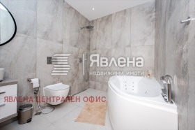 ����� ������� �������,���� �����, �����