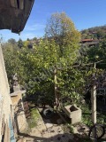Продава КЪЩА, с. Драгижево, област Велико Търново, снимка 7