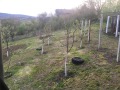 Продава ВИЛА, град Велико Търново, м-т Козлуджа • 62000 € • 85785482 — Holmes.bg