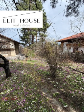 Hus Bojana, Sofia 7