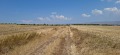 Продава ЗЕМЕДЕЛСКА ЗЕМЯ, с. Храбърско, област София област, снимка 1