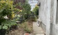 Продава  Етаж от къща град Видин , Крум Бъчваров , 75 кв.м | 15620545 - изображение [9]