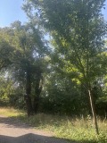 Продава КЪЩА, град София, с. Мърчаево • 530000 € • 45905799 — Holmes.bg