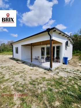 ������ ������� ����