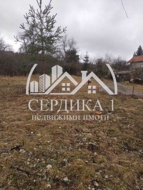 Plot Gorna Dikanya, region Pernik 1