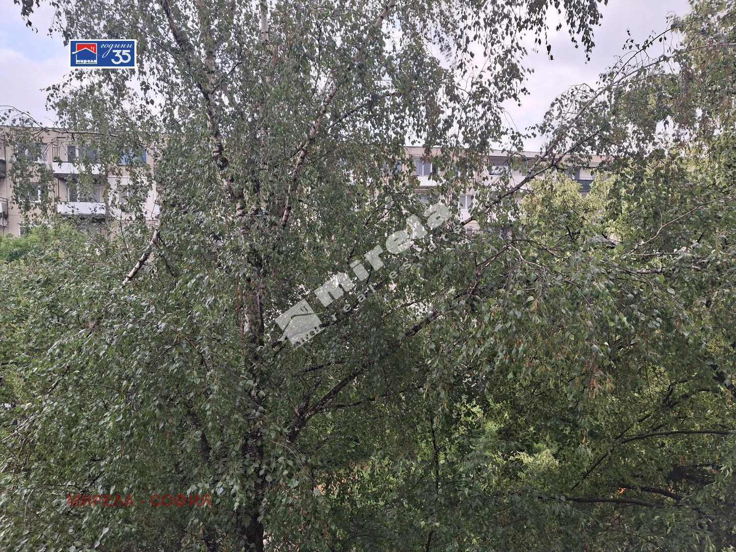 Продава 3-СТАЕН, гр. София, Бъкстон, снимка 11 - Апартаменти - 55404533