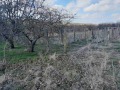 Продава КЪЩА, с. Добрин, област Добрич, снимка 3