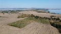 Продава ПАРЦЕЛ, гр. Бургас, с. Димчево, снимка 3