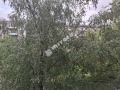 Продава  3-стаен град София , Бъкстон , 88 кв.м | 59316605 - изображение [11]
