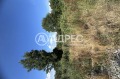 Продава ПАРЦЕЛ, град София, гр. Банкя • 450000 € • 27423313 — Holmes.bg