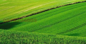 ������ ������� ���������� ����