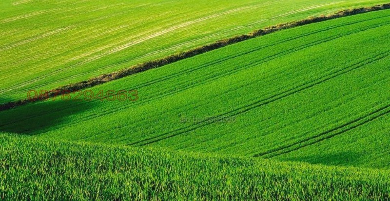 Продава ЗЕМЕДЕЛСКА ЗЕМЯ, с. Безводица, област Добрич