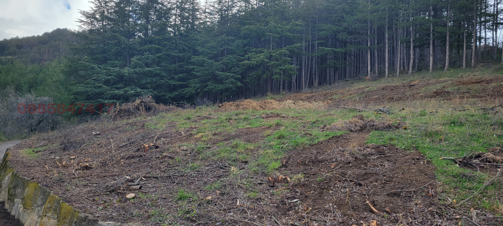 ������� ������ | Imot.bg � ����������� 1