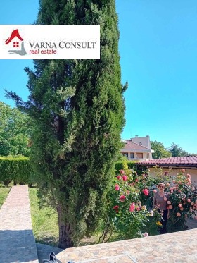 ����� ������� ����,���� �����, �-� ������� - �����>