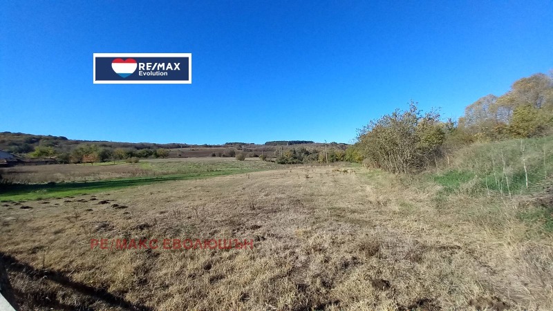Продава ПАРЦЕЛ, област Разград, с. Ушинци • 29000 лв. / 14827.46 € • 86451142 1