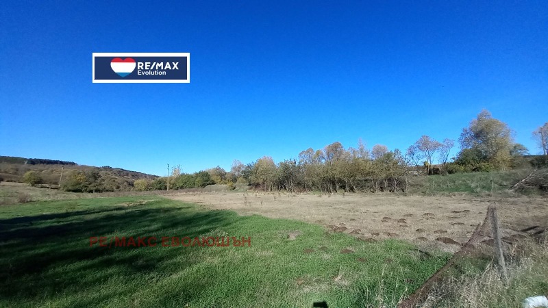 Продава ПАРЦЕЛ, с. Ушинци, област Разград, снимка 3 - Парцели - 52273499