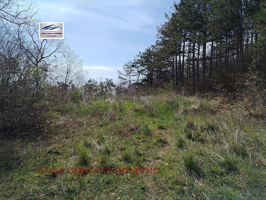 ������� ������ | Imot.bg � ����������� 4