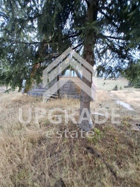 ������� ����� | Imot.bg � ����� ������ 10