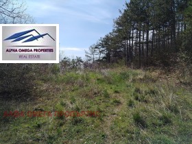 ������� ������ | Imot.bg � ����� ������ 4