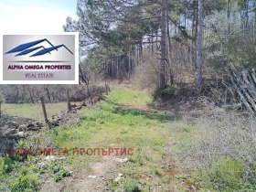 ������� ������ | Imot.bg � ����� ������ 8