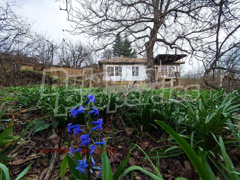 Na prodej  Dům oblast Gabrovo , Dolni Varpišta , 130 m2 | 85982286