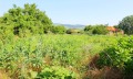 Продава КЪЩА, област Варна, с. Красимир • 19100 € • 78659047 — Holmes.bg