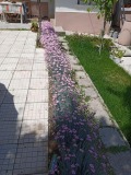 Продава КЪЩА, област Пловдив, с. Красново • 53500 € • 53842548 — Holmes.bg