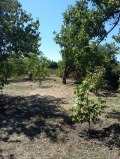 Продава ПАРЦЕЛ, област Пазарджик, с. Лозен • 36000 € • 27899171 — Holmes.bg