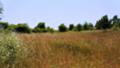 Продава ЗЕМЕДЕЛСКА ЗЕМЯ, с. Варвара, област Бургас, снимка 1 - Земеделска земя - 25735817