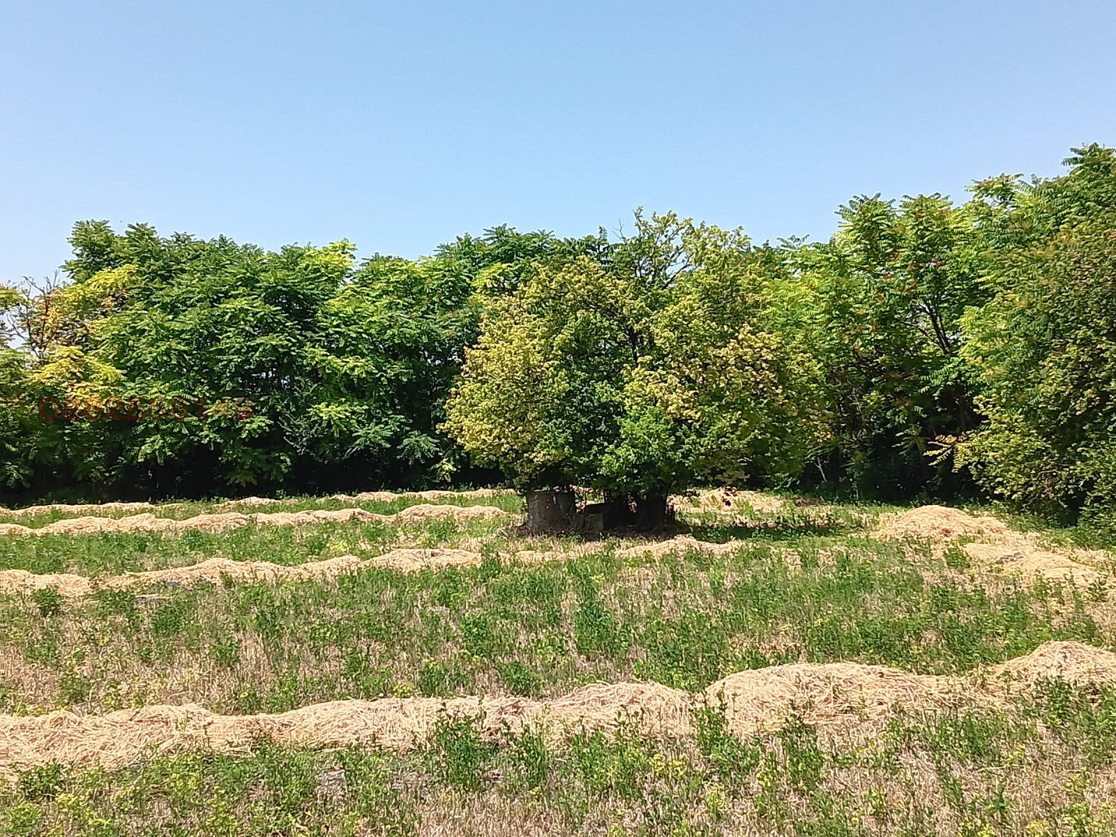 ������� ���� | Imot.bg � ����������� 3