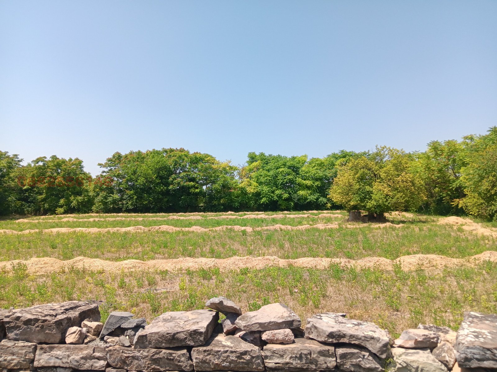 ������� ���� | Imot.bg � ����������� 5