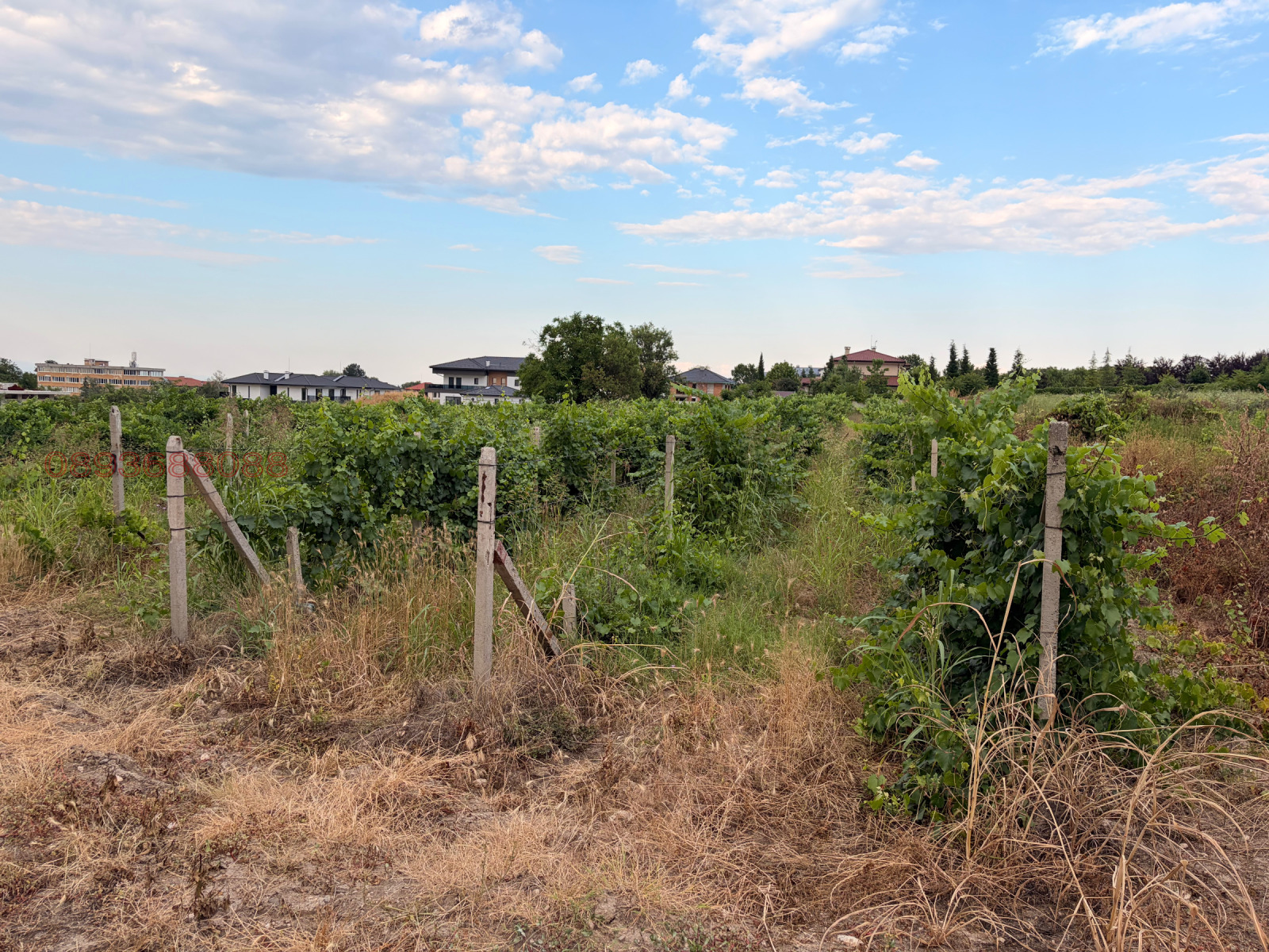 ������� ���������� ���� | Imot.bg � ����������� 1