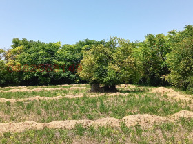 ������� ���� | Imot.bg � ����� ������ 3