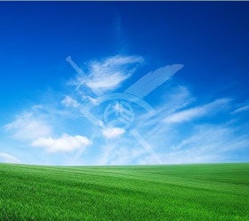 ����� ������� ������,���� ������, ����� ������ - ���� �