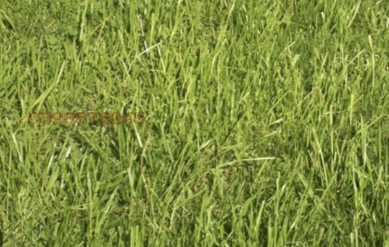 Продава ПАРЦЕЛ, гр. Перник, Църква