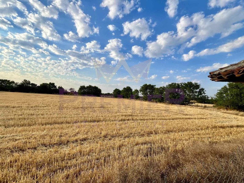 Продава ЗЕМЕДЕЛСКА ЗЕМЯ, с. Змеево, област Добрич, снимка 9 - Земеделска земя - 53008884