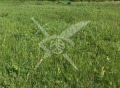 Продава ПАРЦЕЛ, област Пловдив, гр. Куклен • 41600 € / 81362.53 лв. • 57032439 1